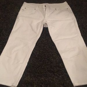 Loft Modern Crop Pants